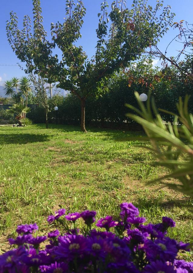 Bba2Passi Bed and Breakfast Marina di Massa Εξωτερικό φωτογραφία